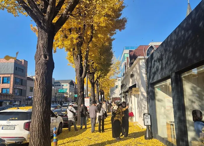 Aurora#서울역차로5분#남영역도보8분#숙대입구역 도보10분#숙소근처 맛집리스트 제공#k푸드탐방#경복궁#명동#이태원#홍대#1층#호텔급침구 Apartment *