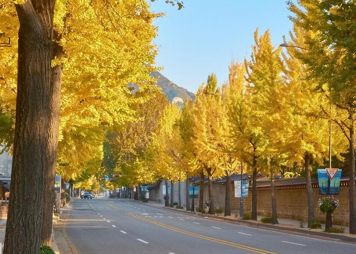 Aurora#서울역차로5분#남영역도보8분#숙대입구역 도보10분#숙소근처 맛집리스트 제공#k푸드탐방#경복궁#명동#이태원#홍대#1층#호텔급침구 Seoul