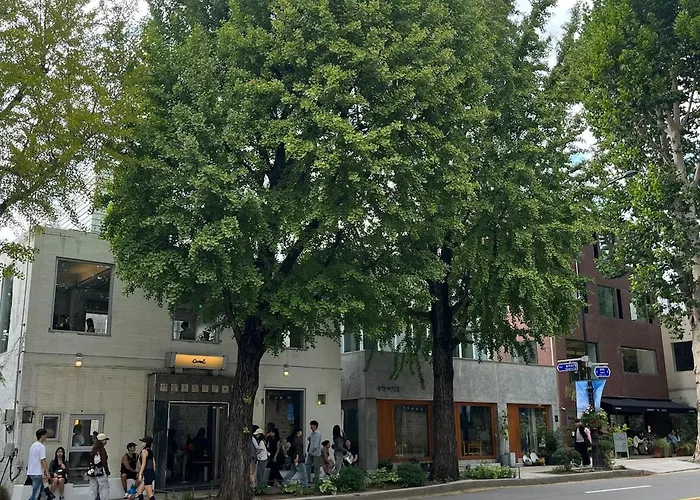 Aurora#서울역차로5분#남영역도보8분#숙대입구역 도보10분#숙소근처 맛집리스트 제공#k푸드탐방#경복궁#명동#이태원#홍대#1층#호텔급침구 Apartment Seoul